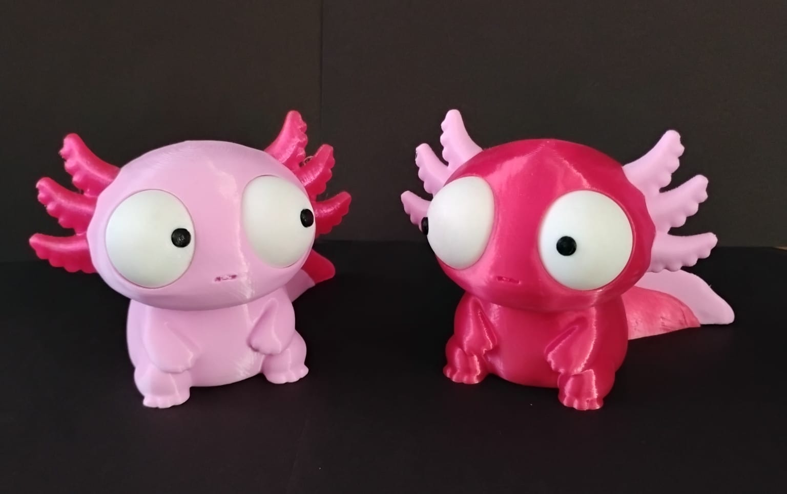 Axolotes de olhos móveis