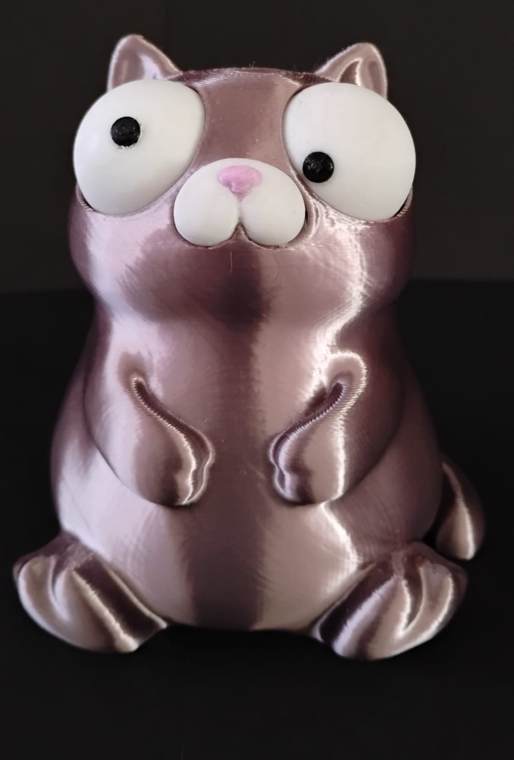 Gato de olhos móveis